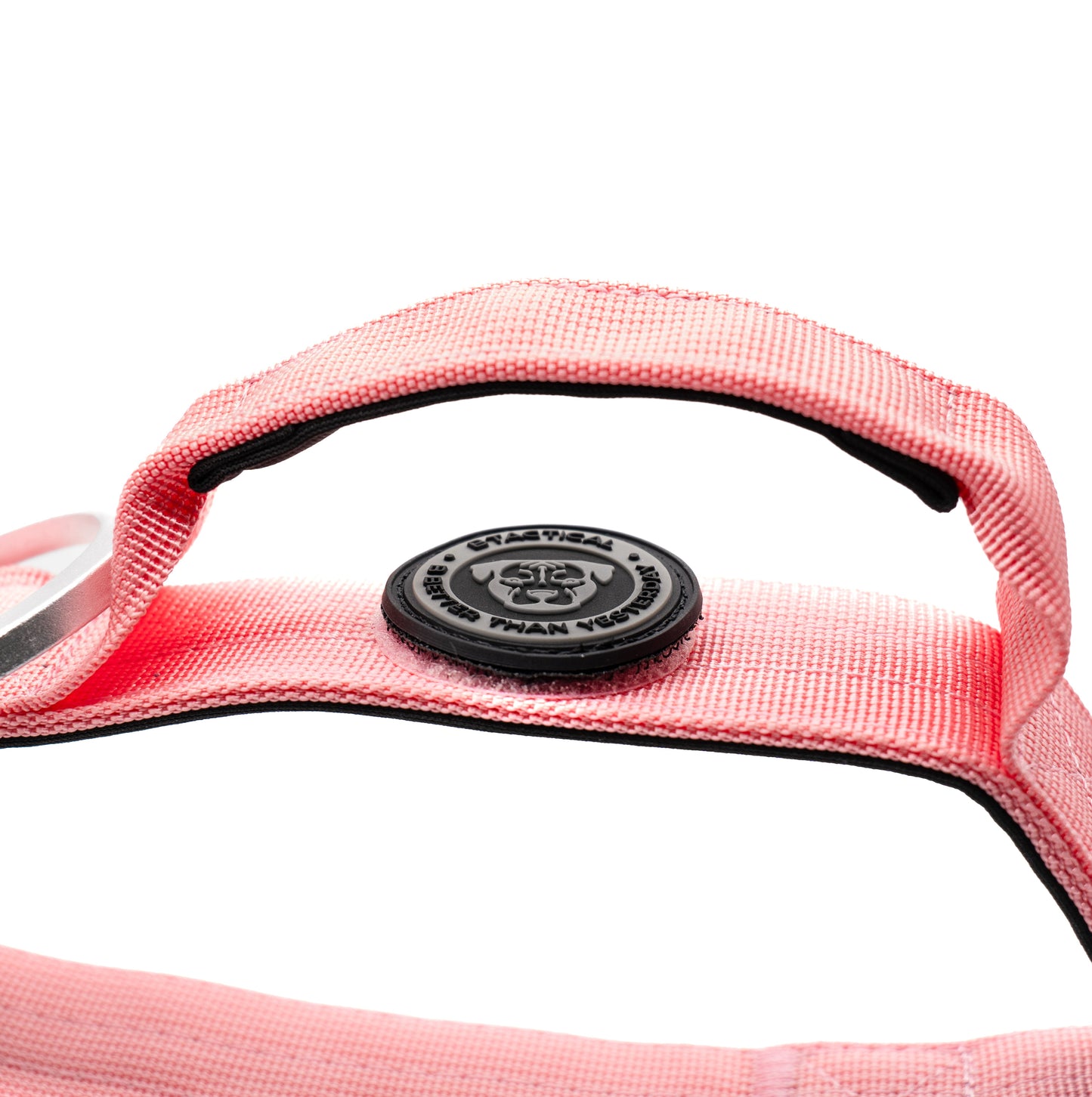 4cm Nylon BTactical™ Collar | Pretty Pink