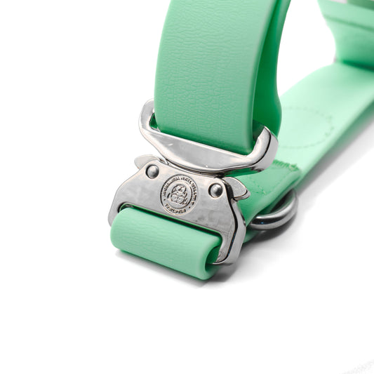 4cm PVC BTactical™ Collar | Pastel Green