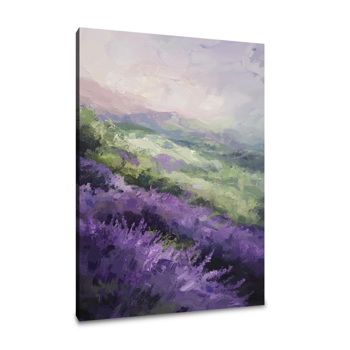 Lavender Fields Canvas