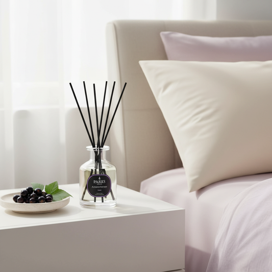 CASSIS DIFFUSER 100ML