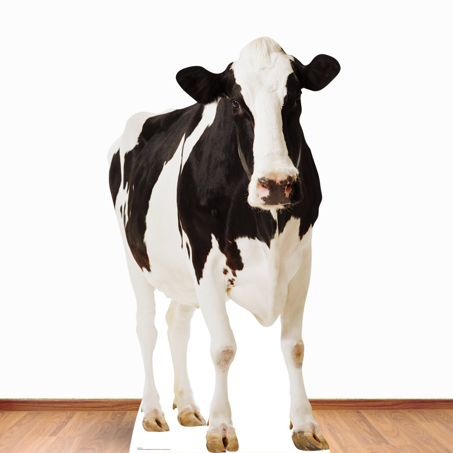 SC163 Cow Cardboard Cutout Height 165cm British Countryside