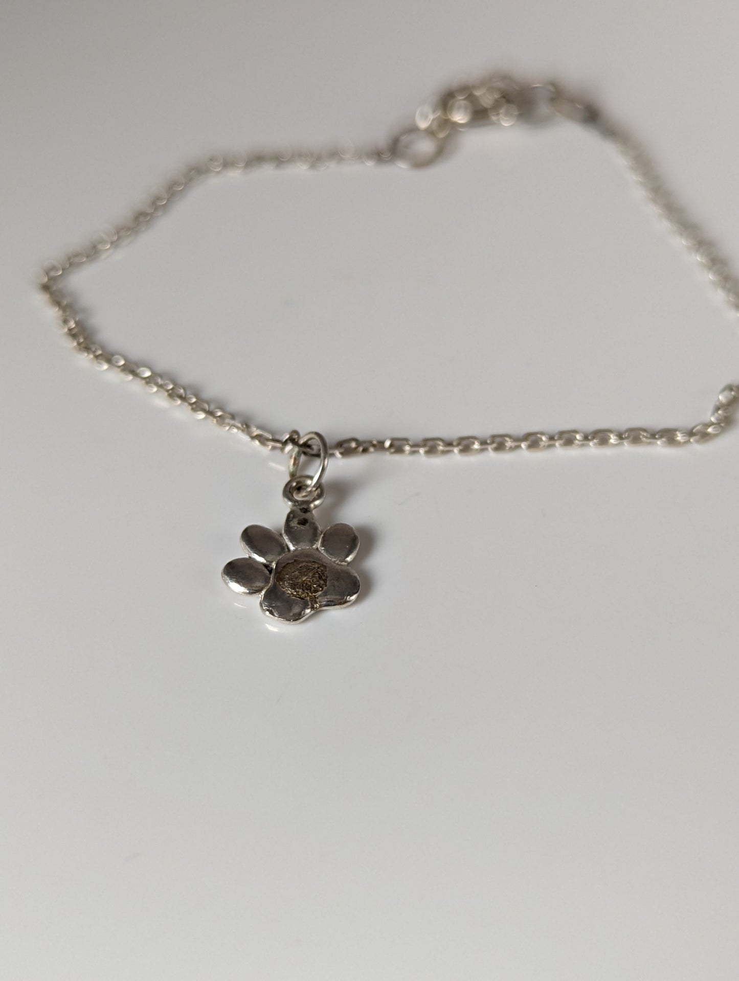 Silver Steed Paw Print Charm Silver Bracelet