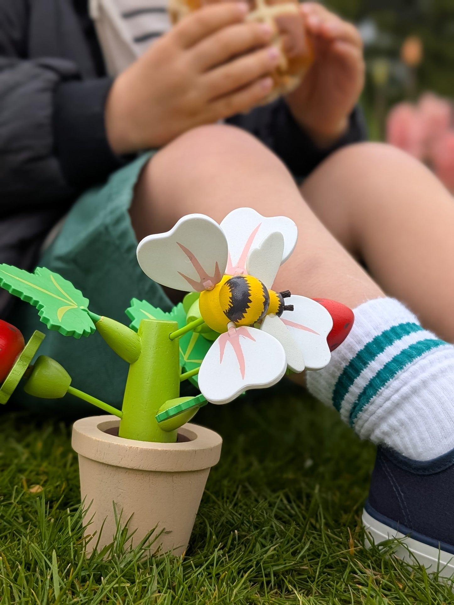 Strawberry Flower Pot
