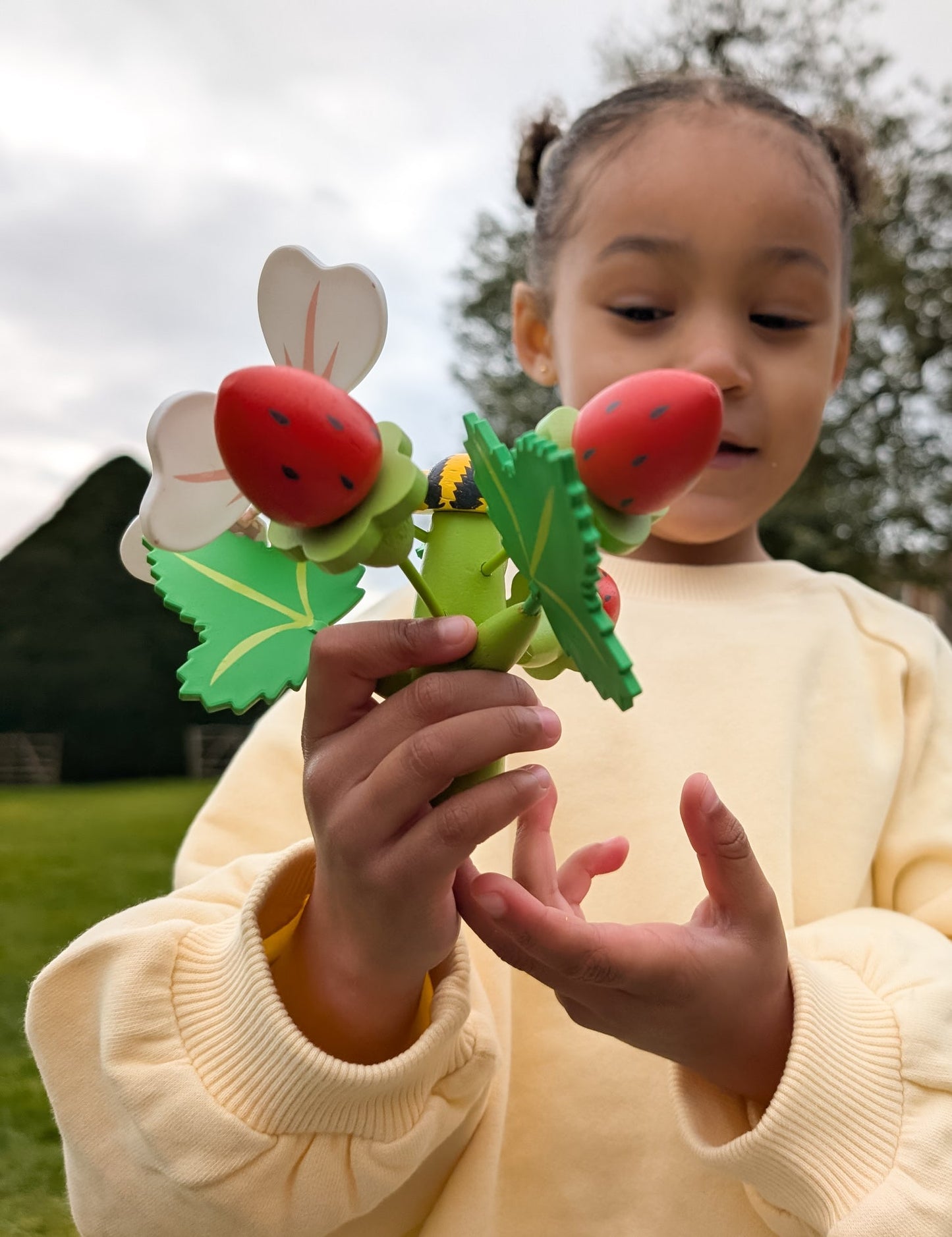 Strawberry Flower Pot