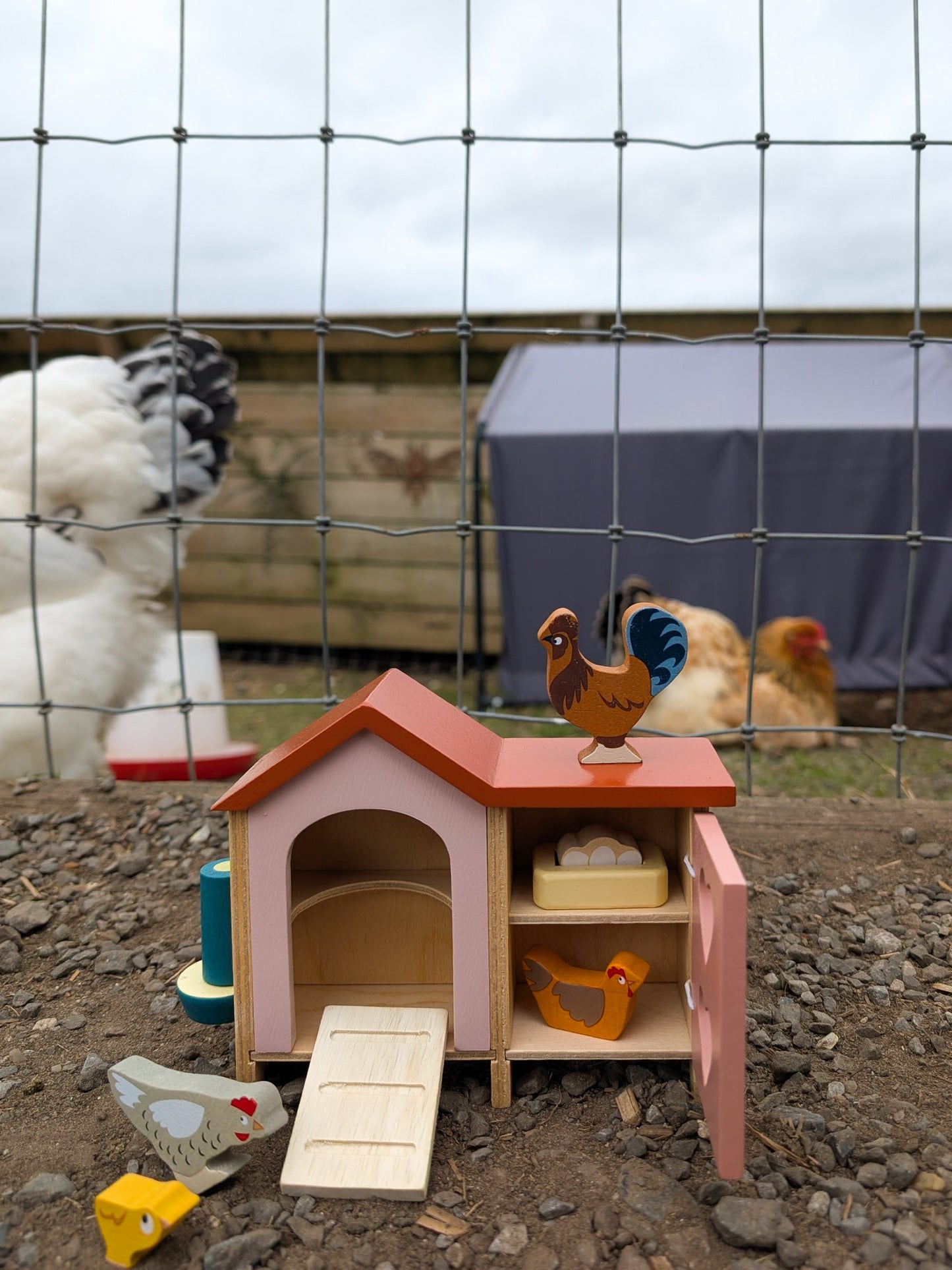 Chicken Coop