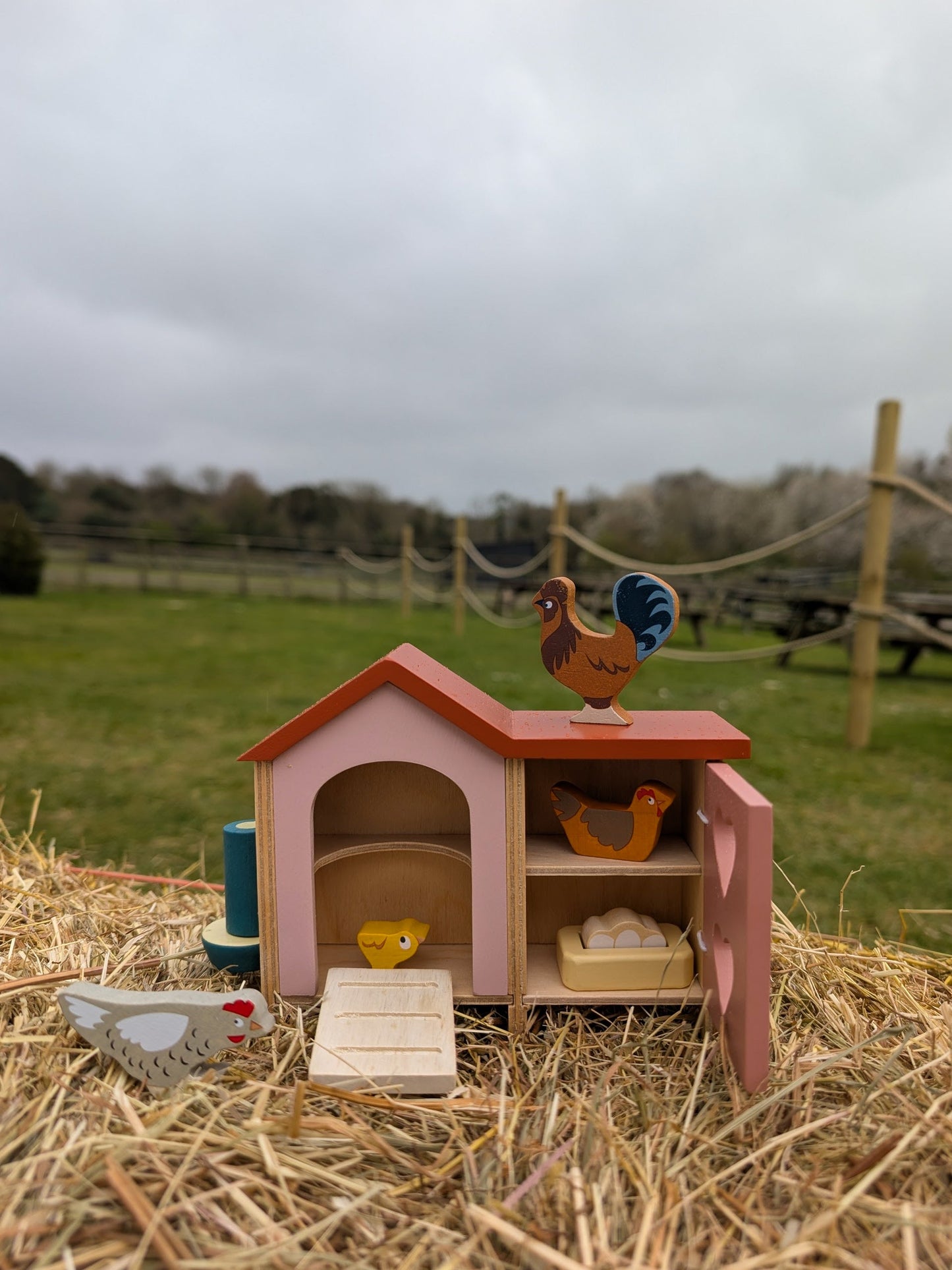 Chicken Coop