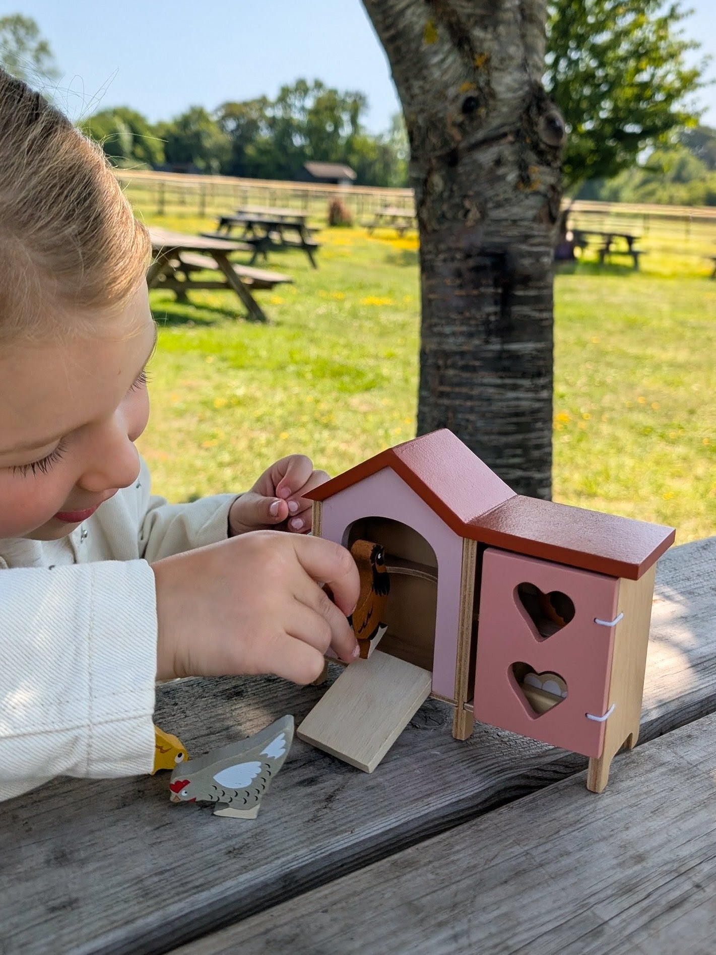 Chicken Coop