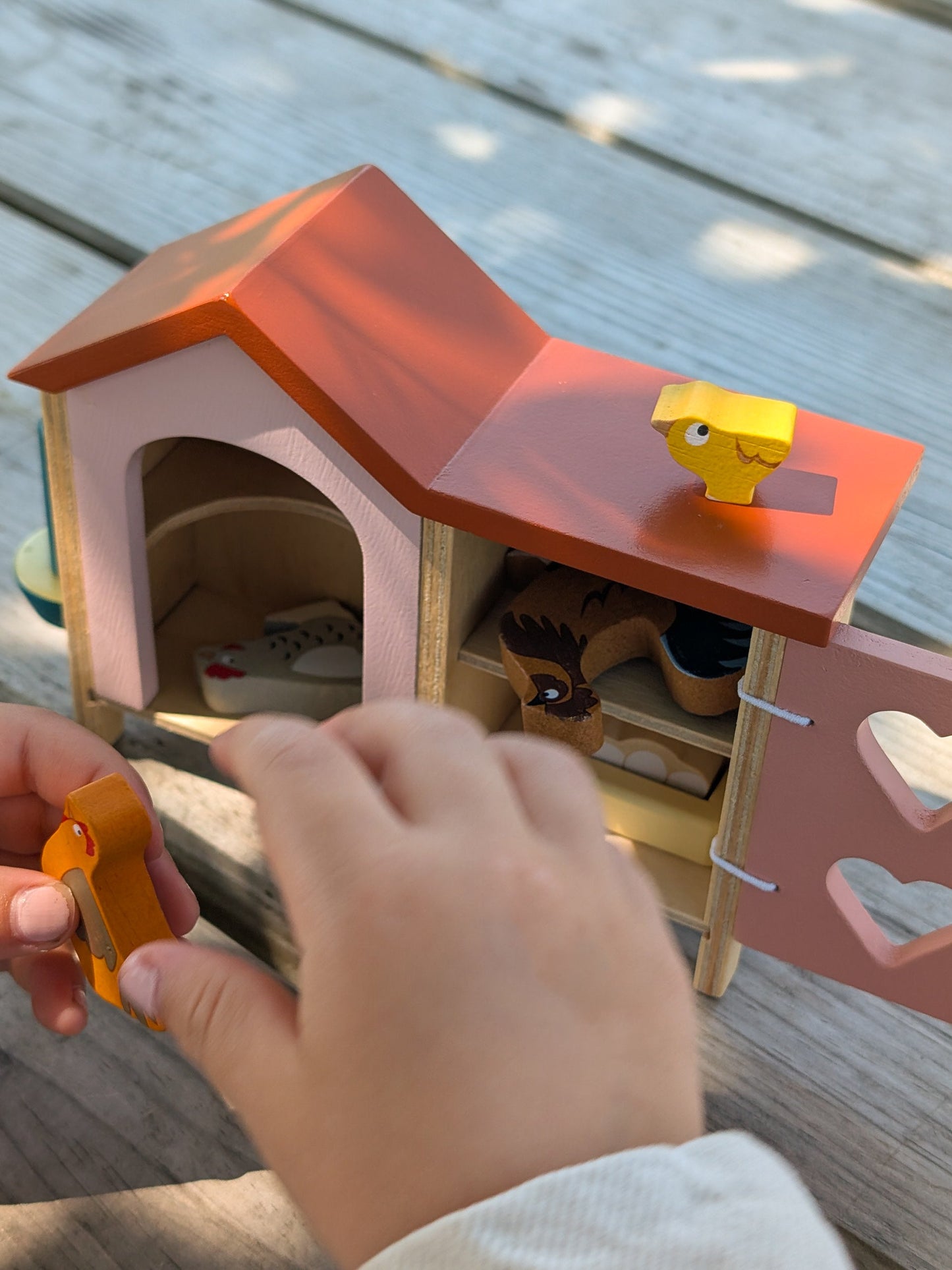Chicken Coop