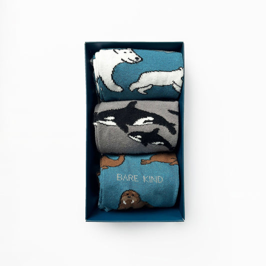 Arctic Animals Bamboo Socks Gift Box of 3