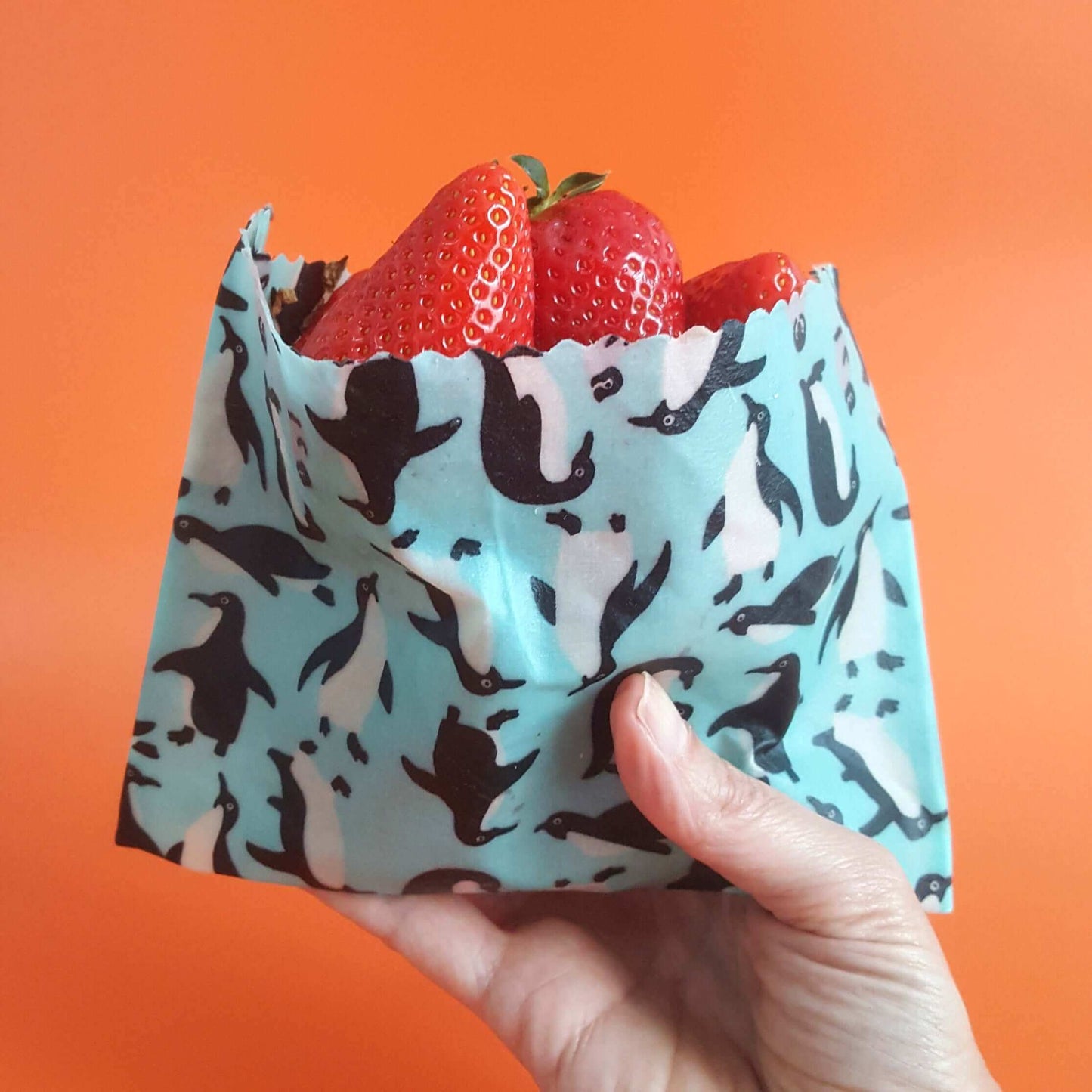 Honey Bee Good Set of 3 Handmade Beeswax Wraps | Wings