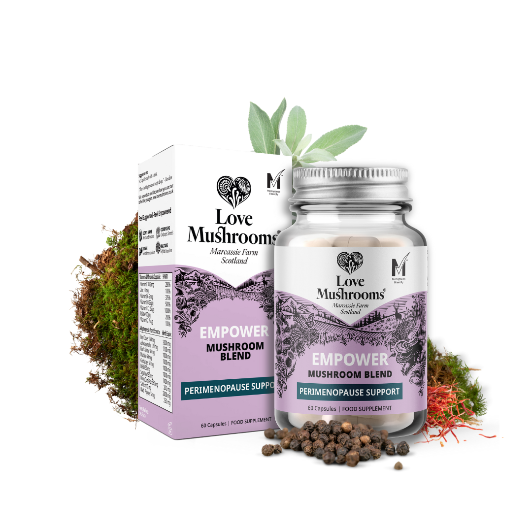 Empower – Mushroom Blend for Perimenopause Support (60 Capsules)