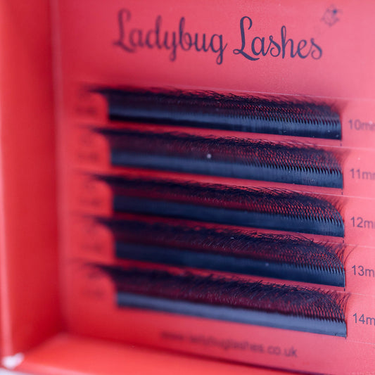 6D Clover Lash Sample Tray – 5 Rows