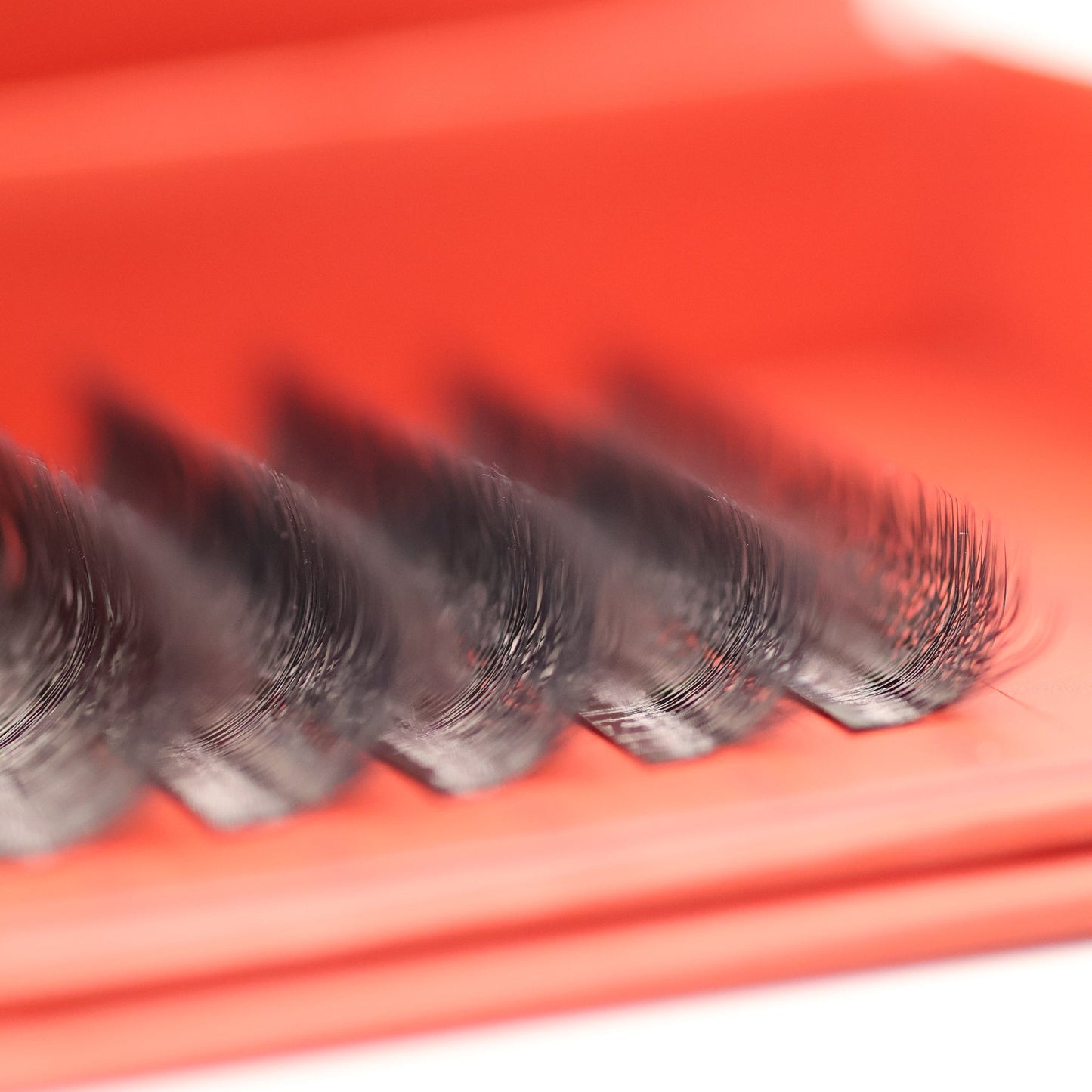 6D Clover Lash Sample Tray – 5 Rows