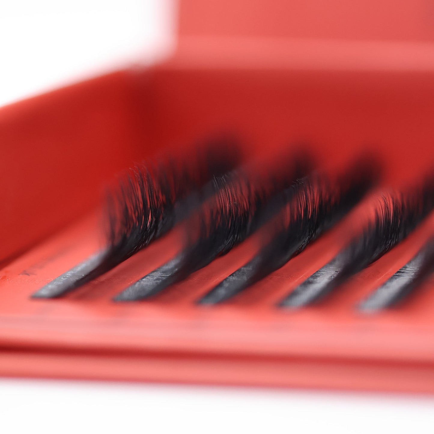 6D Clover Lash Sample Tray – 5 Rows