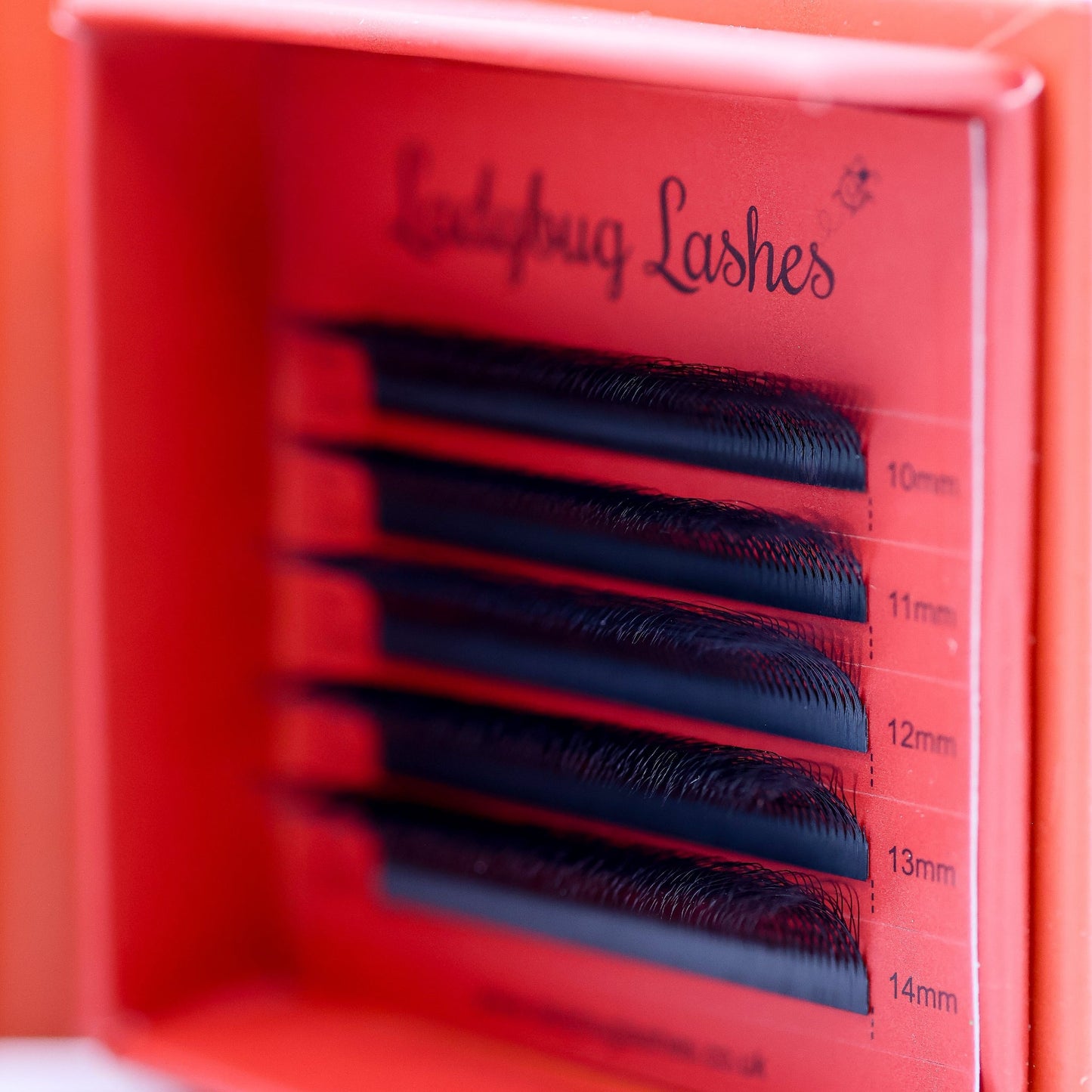 8D Clover Lash Sample Tray – 5 Rows