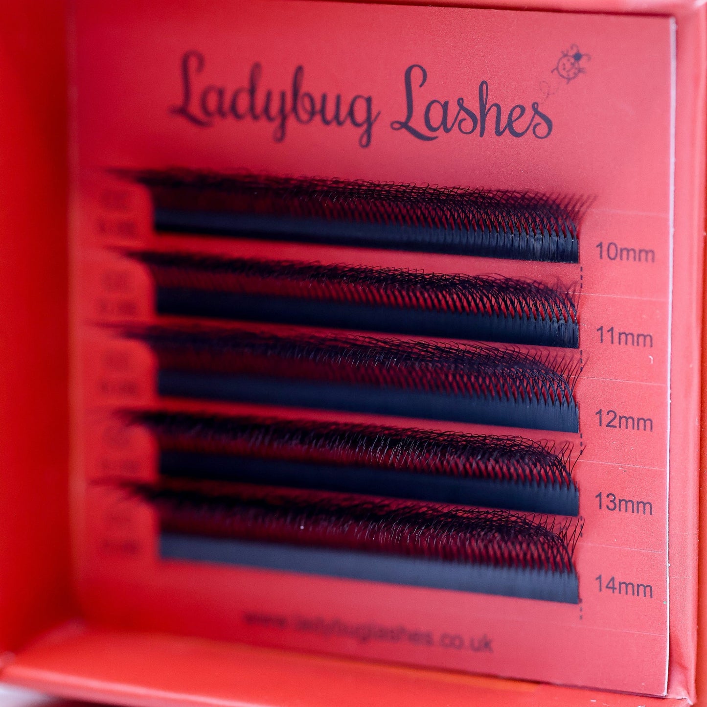 8D Clover Lash Sample Tray – 5 Rows