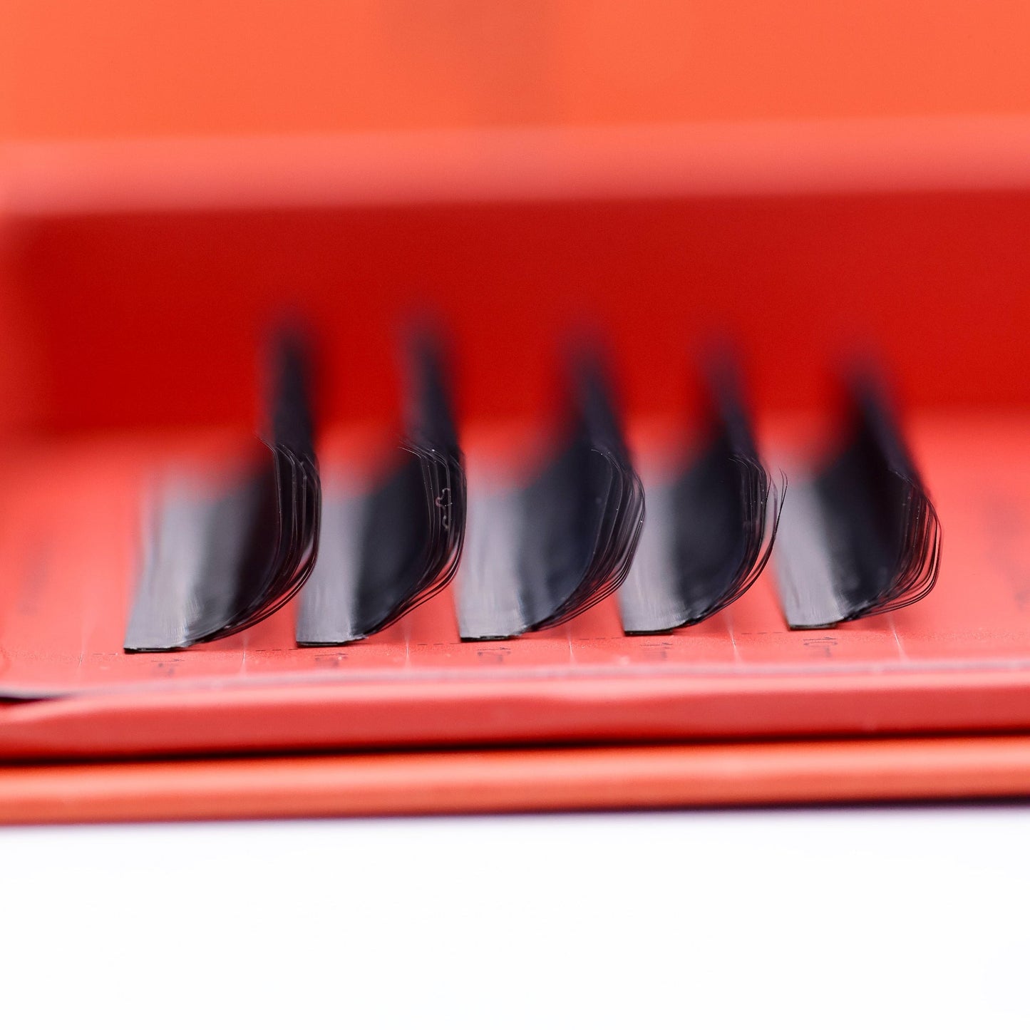 8D Clover Lash Sample Tray – 5 Rows