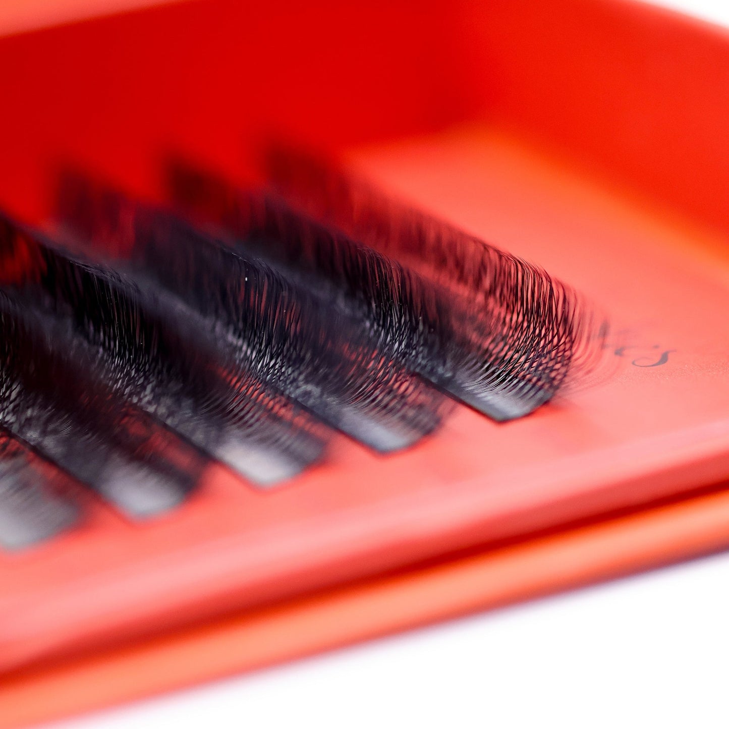 8D Clover Lash Sample Tray – 5 Rows