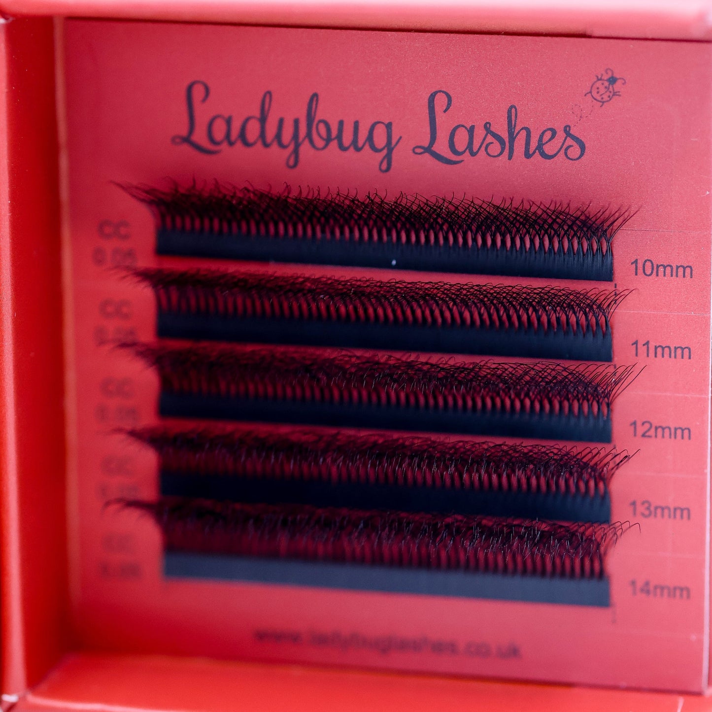 10D Clover Lash Sample Tray – 5 Rows