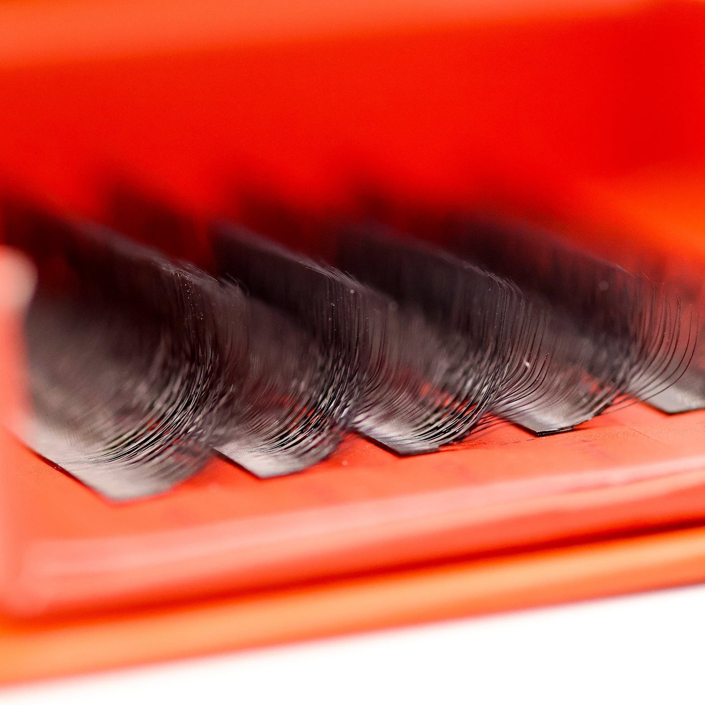10D Clover Lash Sample Tray – 5 Rows