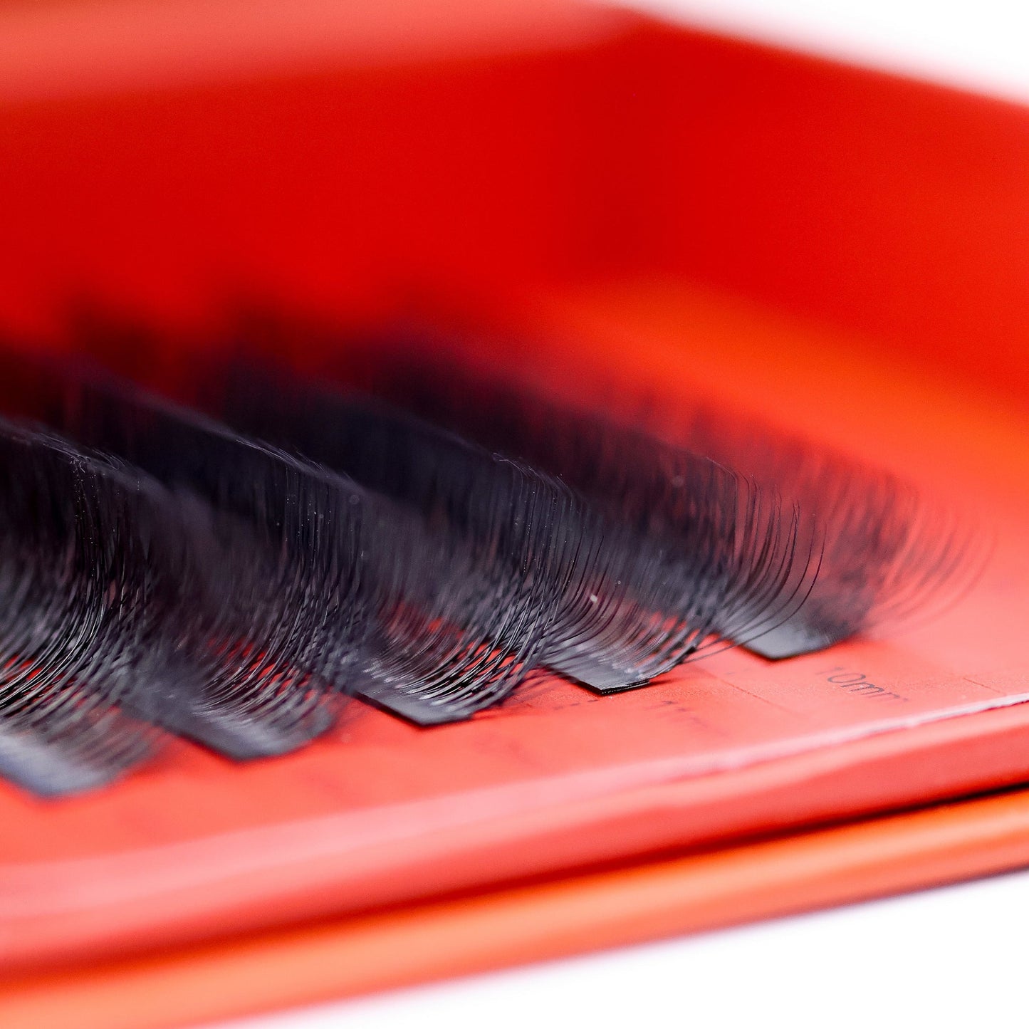 10D Clover Lash Sample Tray – 5 Rows