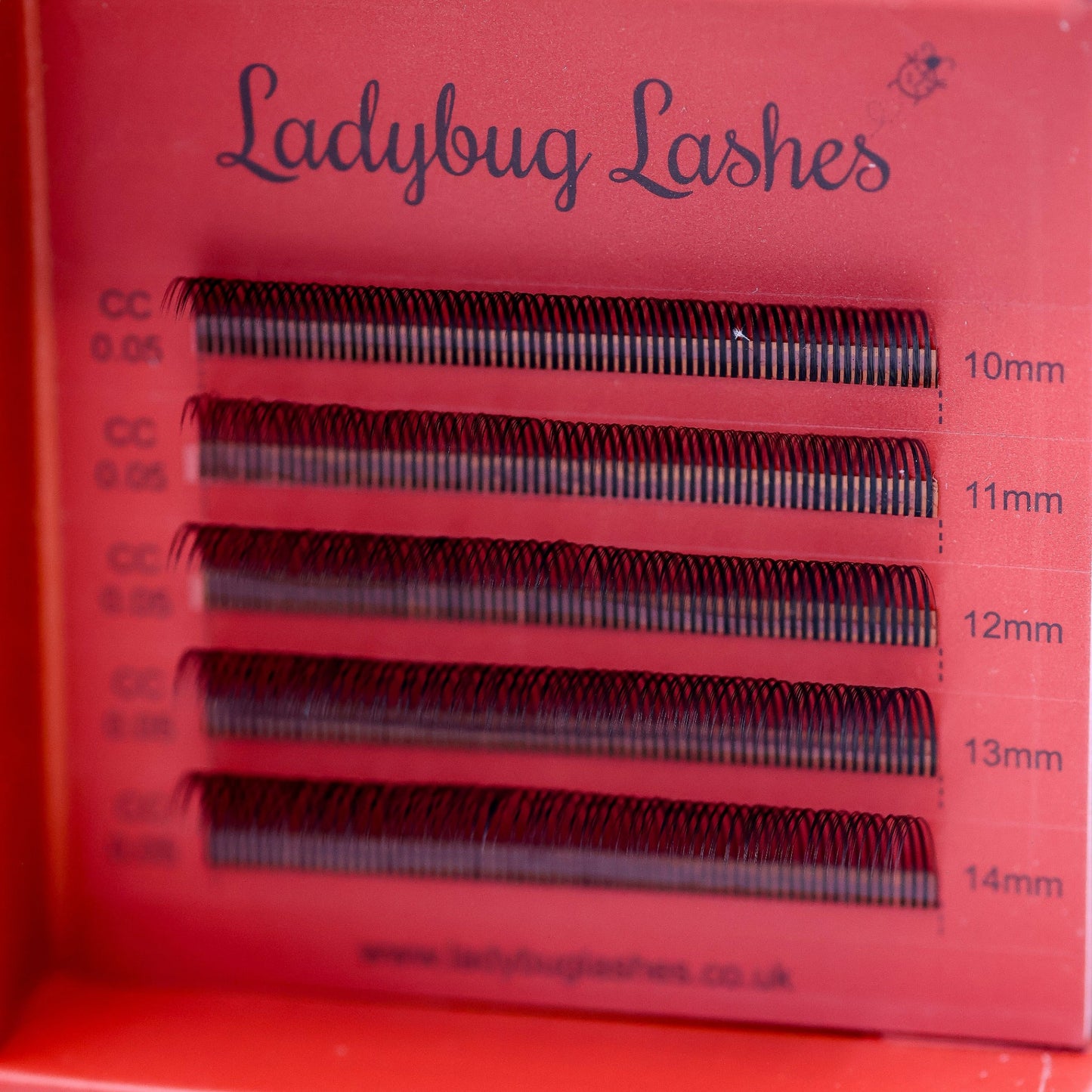 Premade Angel Lashes – 5D Closed Fans | 5 Row Tray