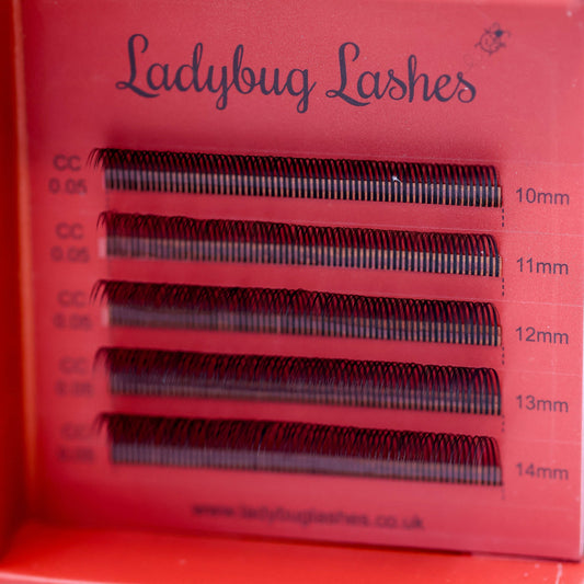 Premade Angel Lashes – 5D Closed Fans | 5 Row Tray