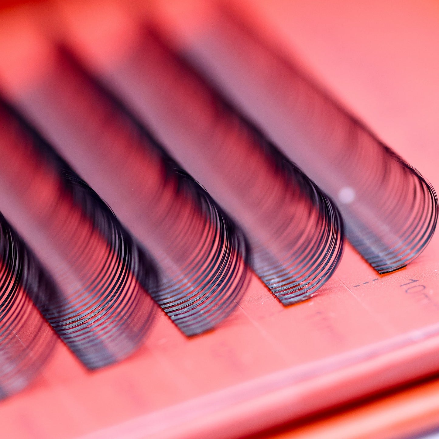 Premade Angel Lashes – 5D Closed Fans | 5 Row Tray