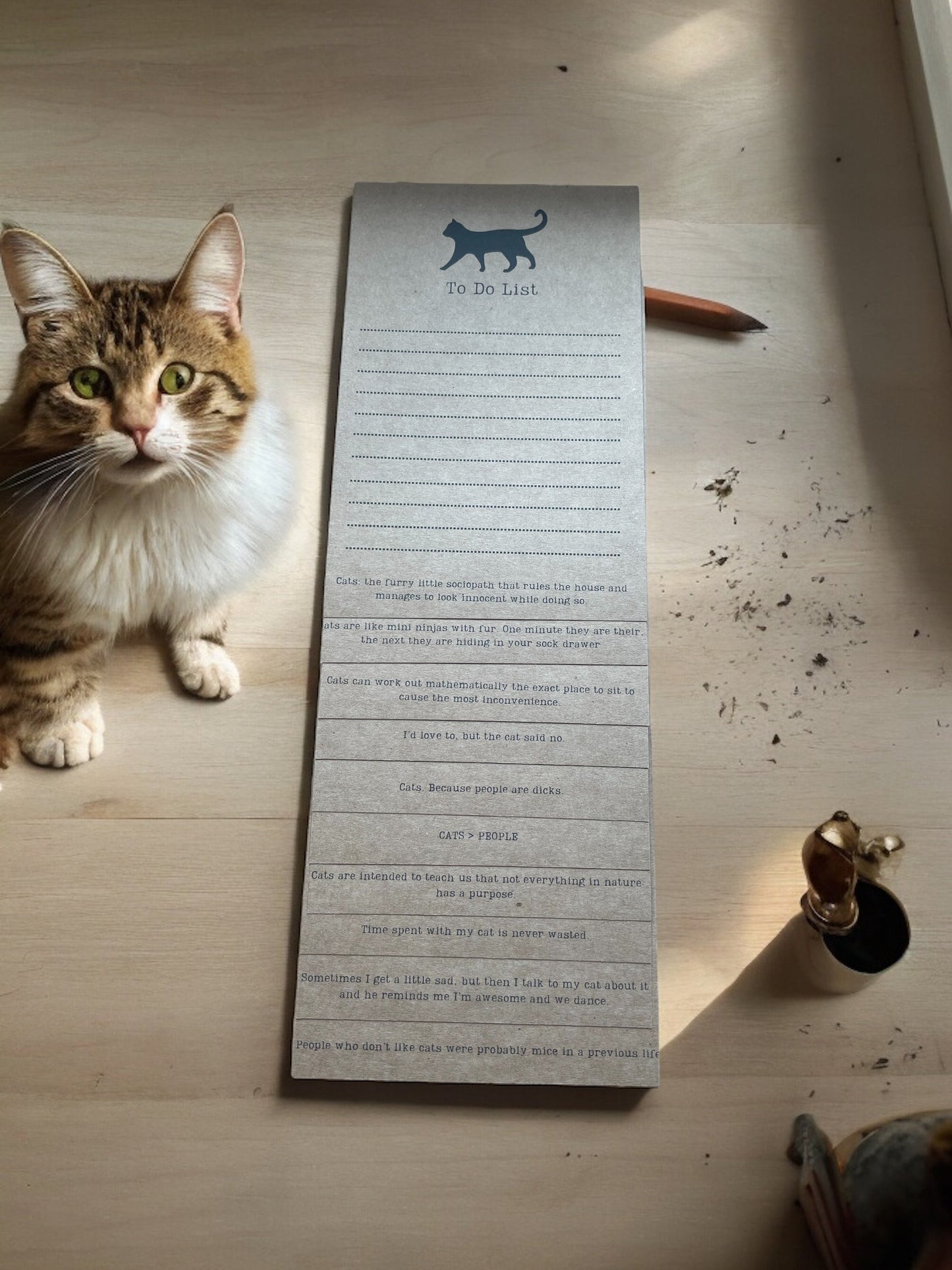 Cat Lover To Do Lists on Clipboard