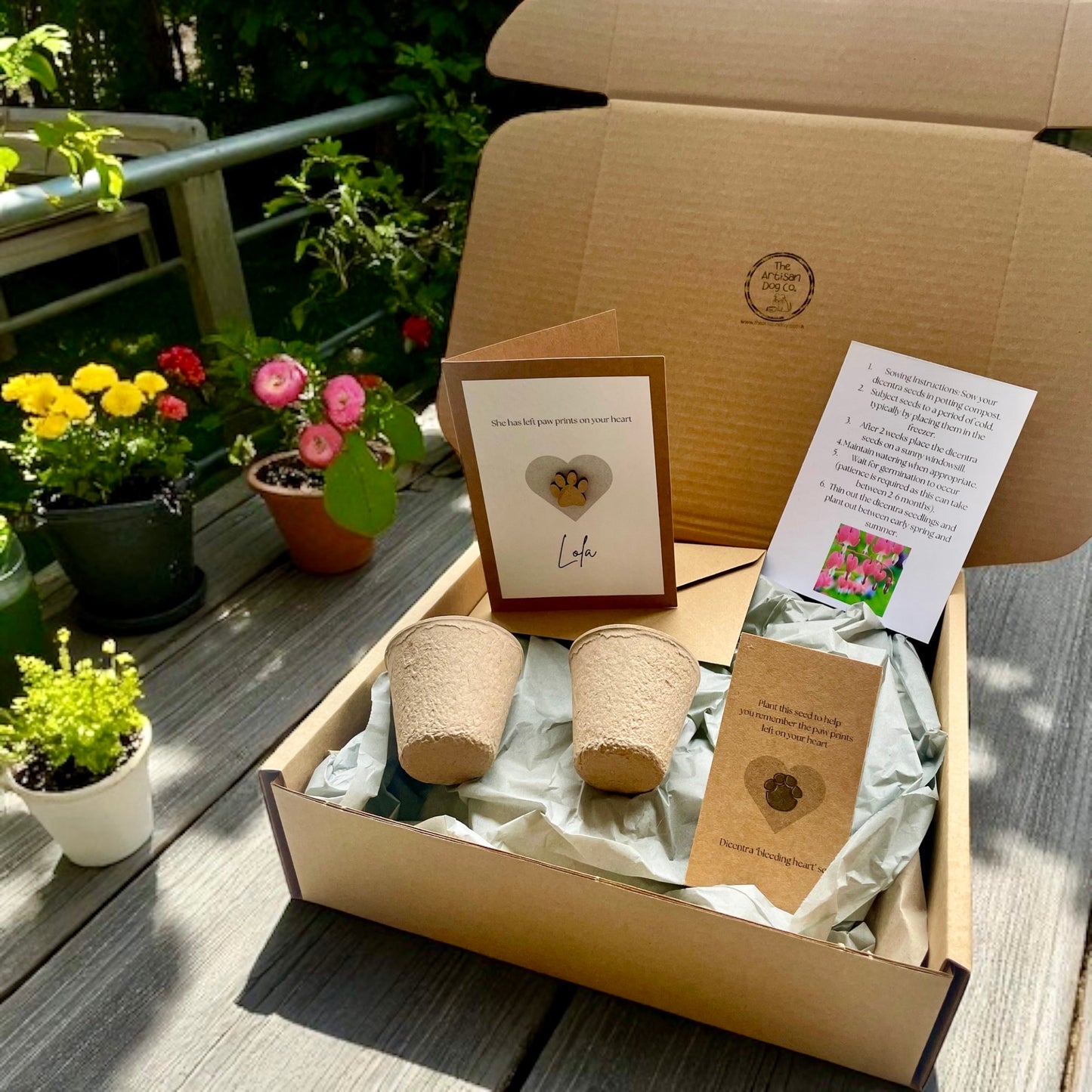 Pawprints on Your Heart Gift Set (Pet Bereavement/Pet Loss)