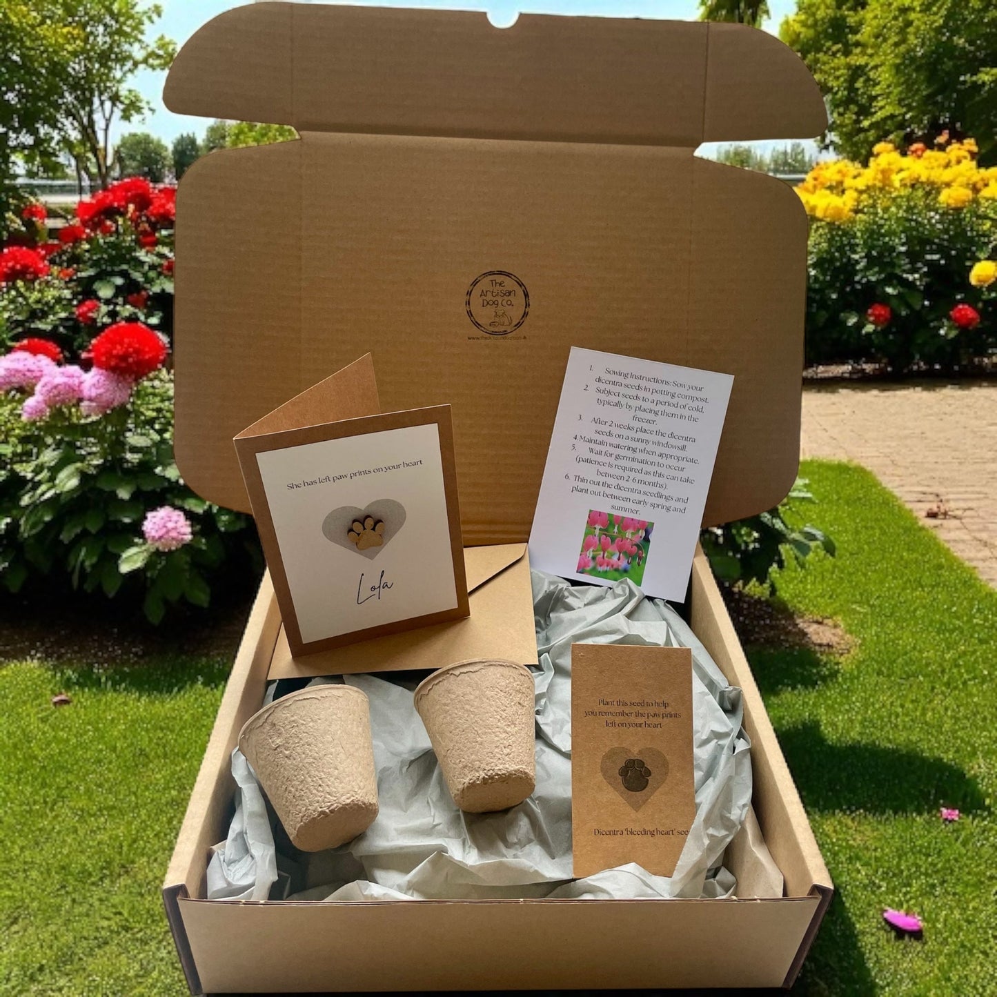 Pawprints on Your Heart Gift Set (Pet Bereavement/Pet Loss)