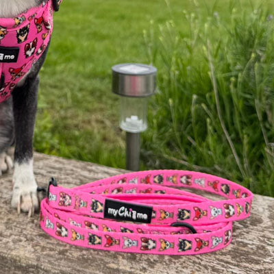 Signature Pink Chihuahua Print Exclusive Lead by My Chi and Me