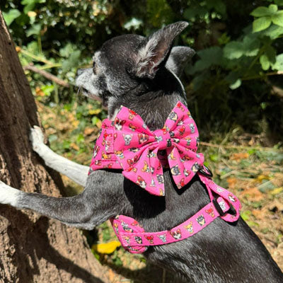 Signature Pink Chihuahua Print Exclusive Small Sailor Bow by My Chi and Me