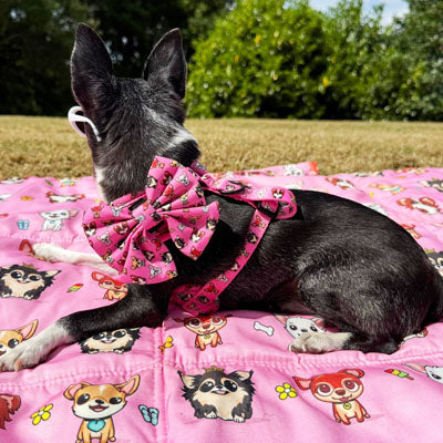 Signature Pink Chihuahua Print Exclusive Small Sailor Bow by My Chi and Me