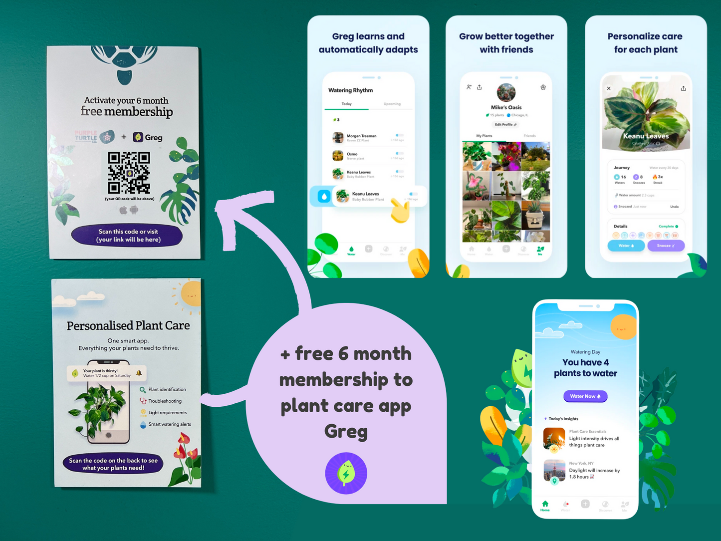 Plant Propagation Gift Set #5