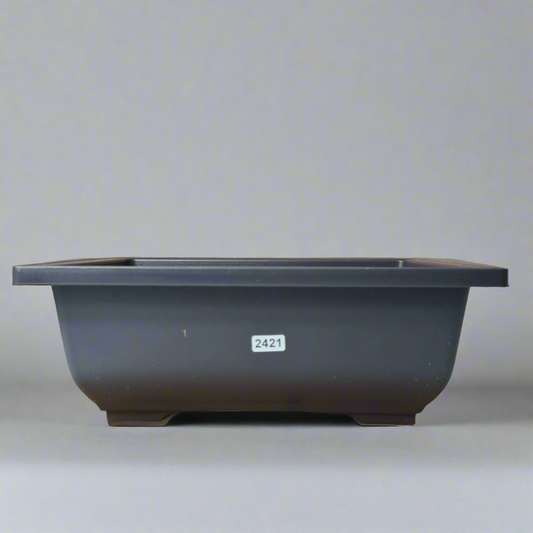 Plastic Bonsai Training Pot | Rectangle | 29cm x 21cm x 11cm