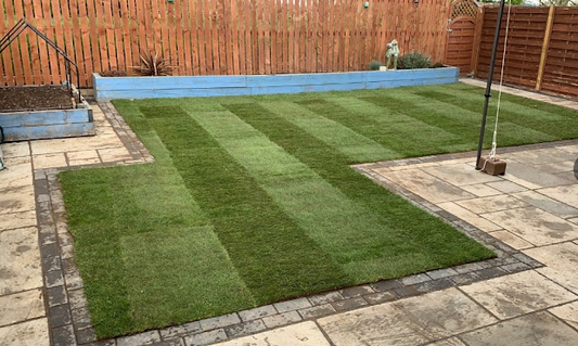 Premier Lawn Turf *Bulk Buy Saver* FREE Pallet Delivery (select pallet amount)