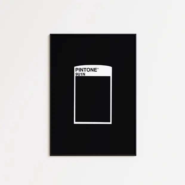 PINTONE Reference