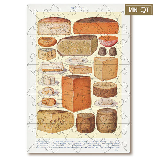 Say Cheese MINI QT