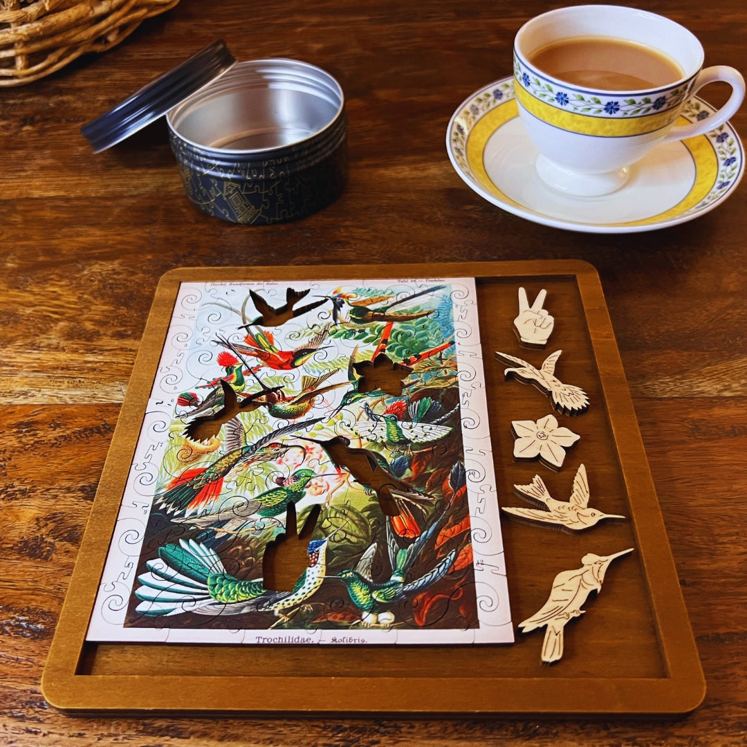 Hummingbirds MINI QT