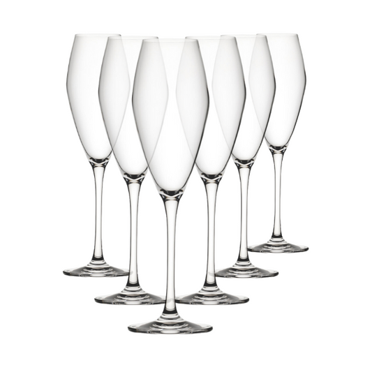 Seine Glass Flutes - 260ml - Set of 6