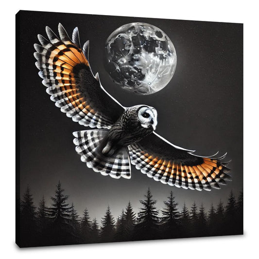 Nocturnal Flight Canvas