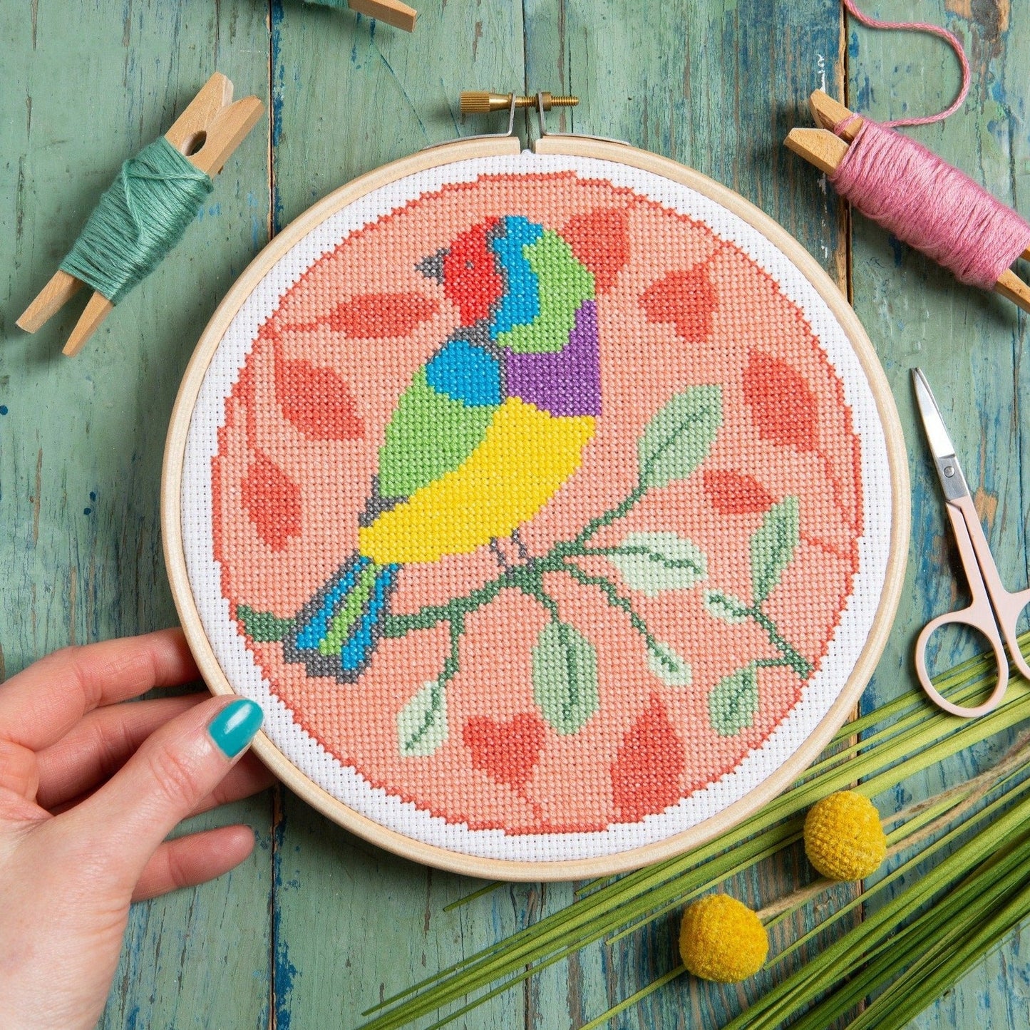 'Rainbow Finch' Bird Cross Stitch Kit for Beginners