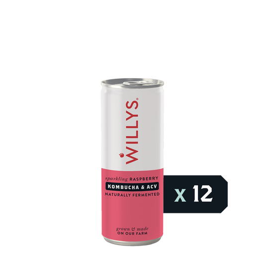 Fermented Raspberry Switchel