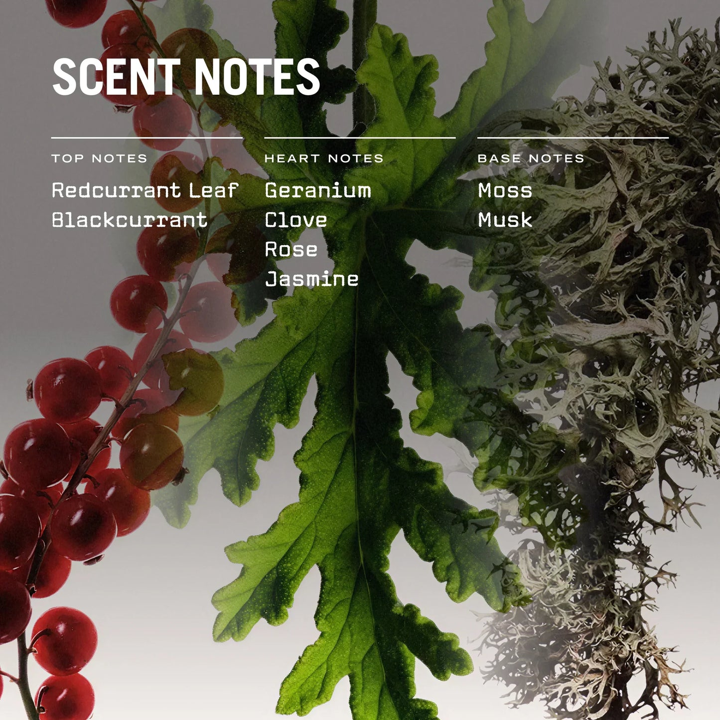 Red Lake Scented Candle