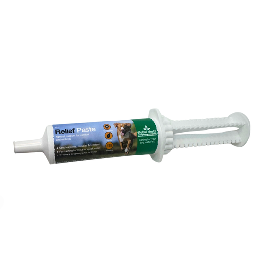 Relief Paste 60ml - Global Herbs  - Canine