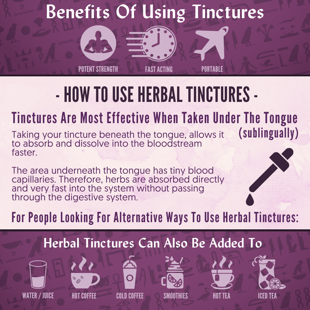 Organic Ginkgo Leaf Tincture - CIRCULATION, COGNITIVE FUNCTION, ANTIOXIDANT