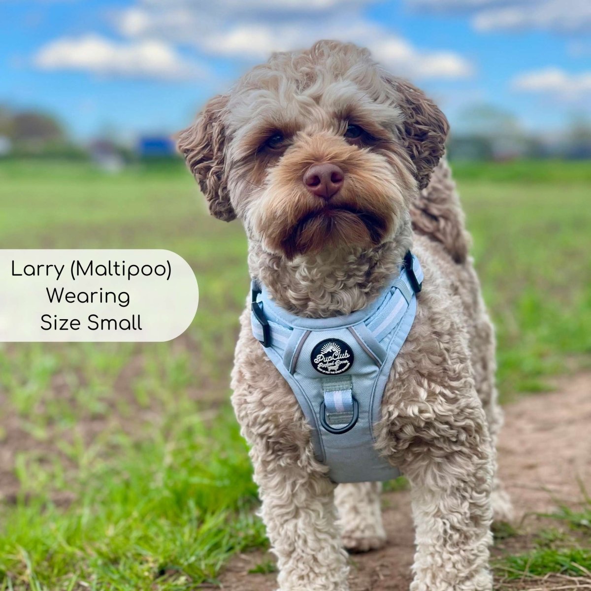 Rugged Rover™ Harness - Pastel Blue