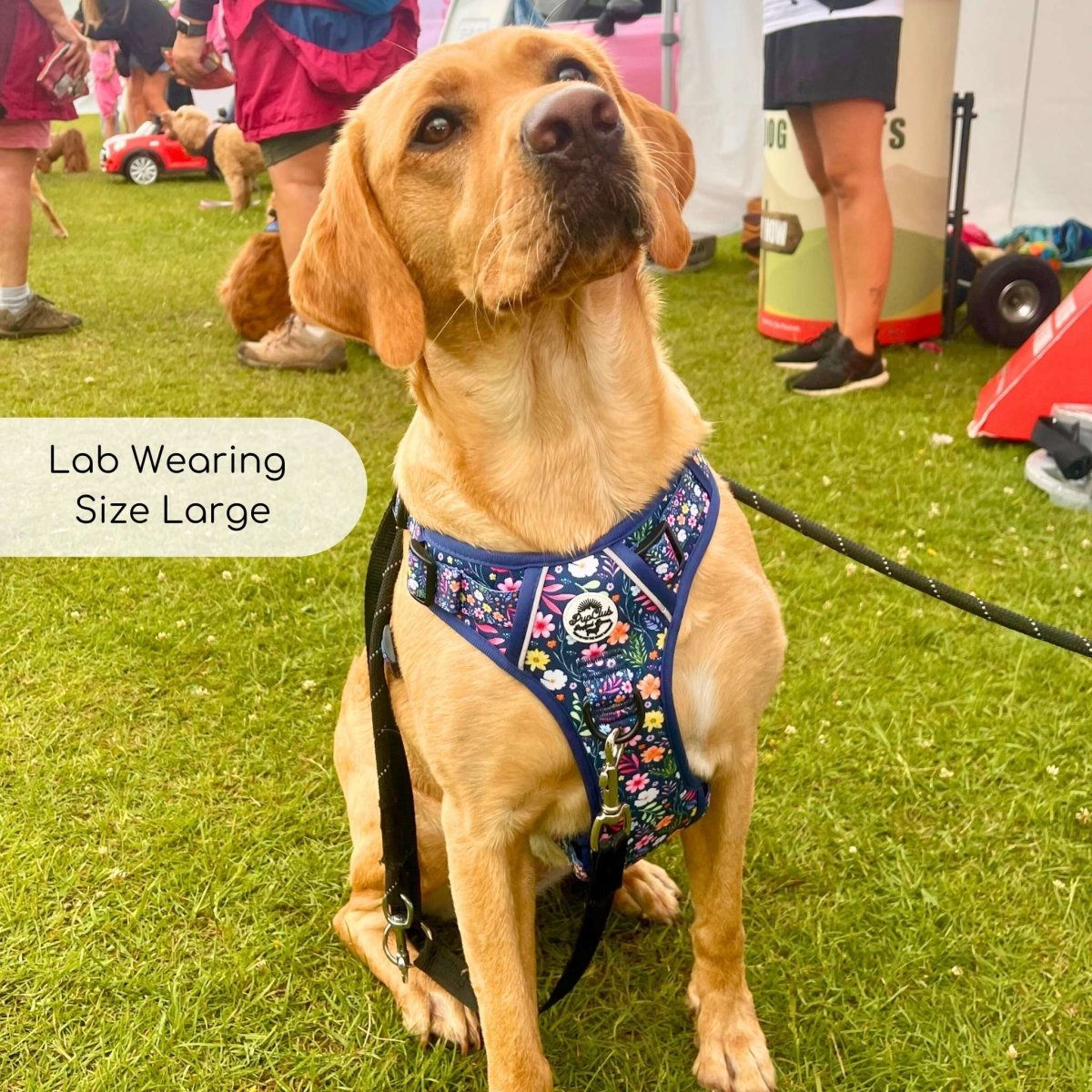 Rugged Rover™ Harness - Summer Meadow