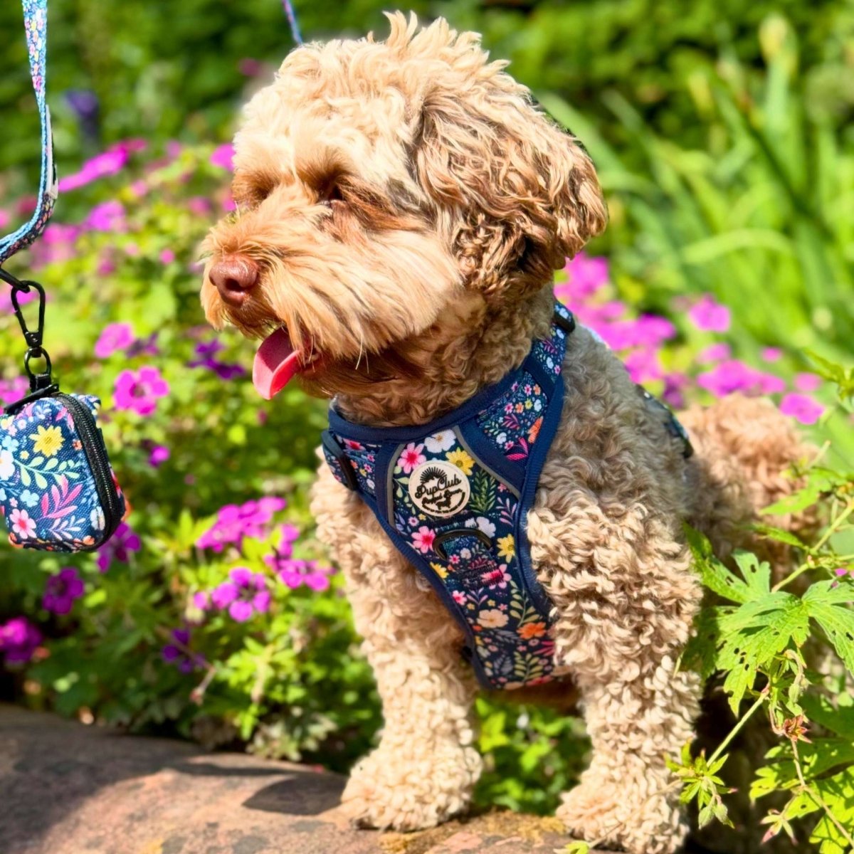 Rugged Rover™ Harness - Summer Meadow